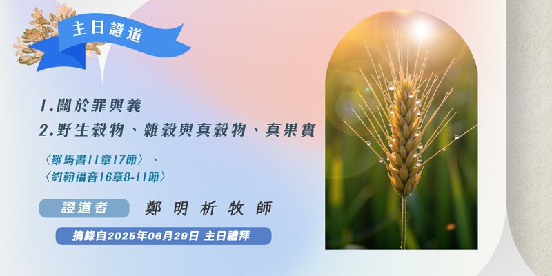 1. 關於罪與義 2. 野生穀物、雜穀與真穀物、真果實