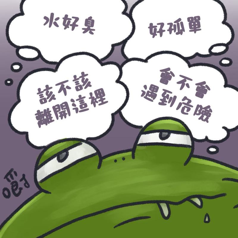 LINE_ALBUM_甕底的小青蛙_261014_4