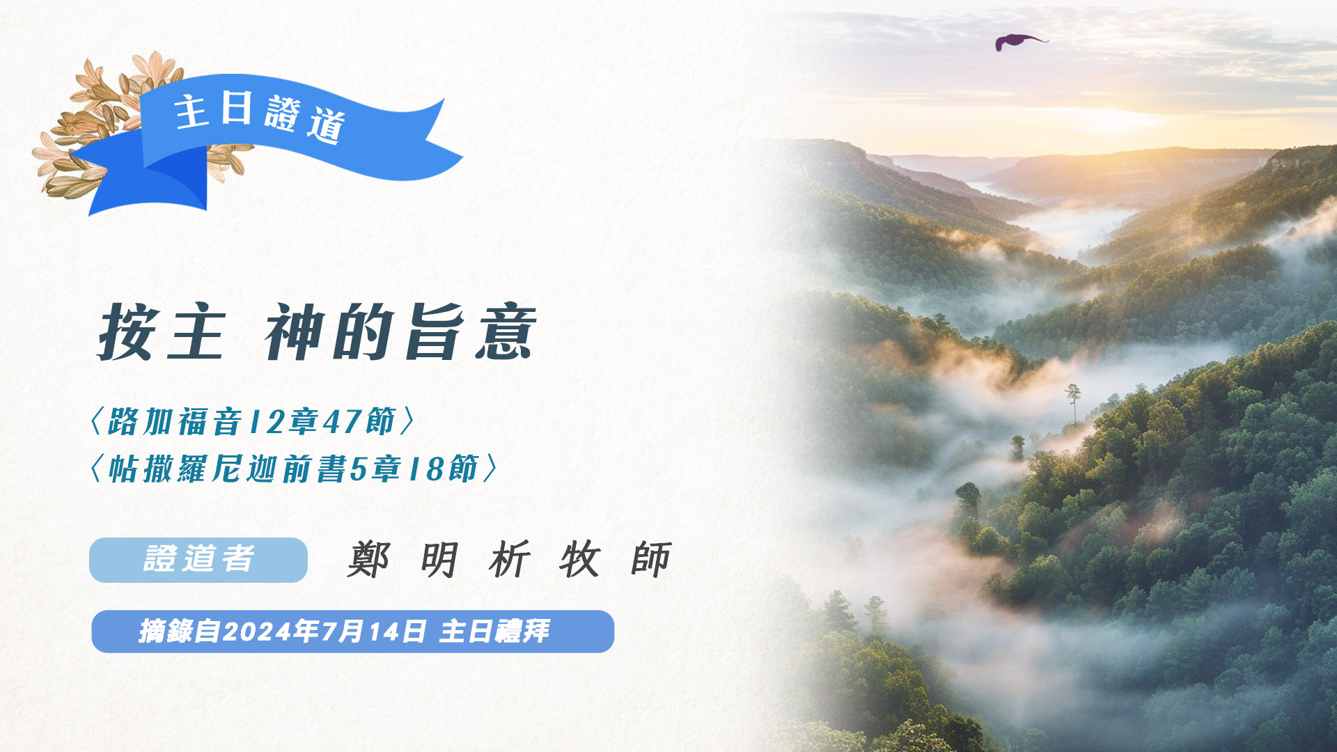 按主 神的旨意 - 基督教福音宣教會,攝理教會,鄭明析牧師,月明洞
